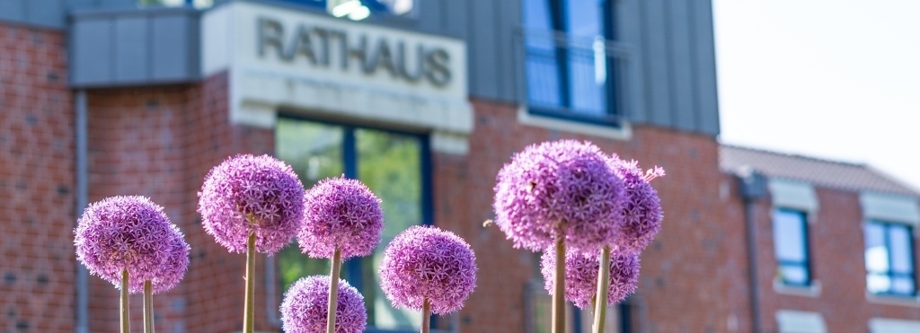 Blick auf das Rathaus durch ein Blumenbeet hindurch